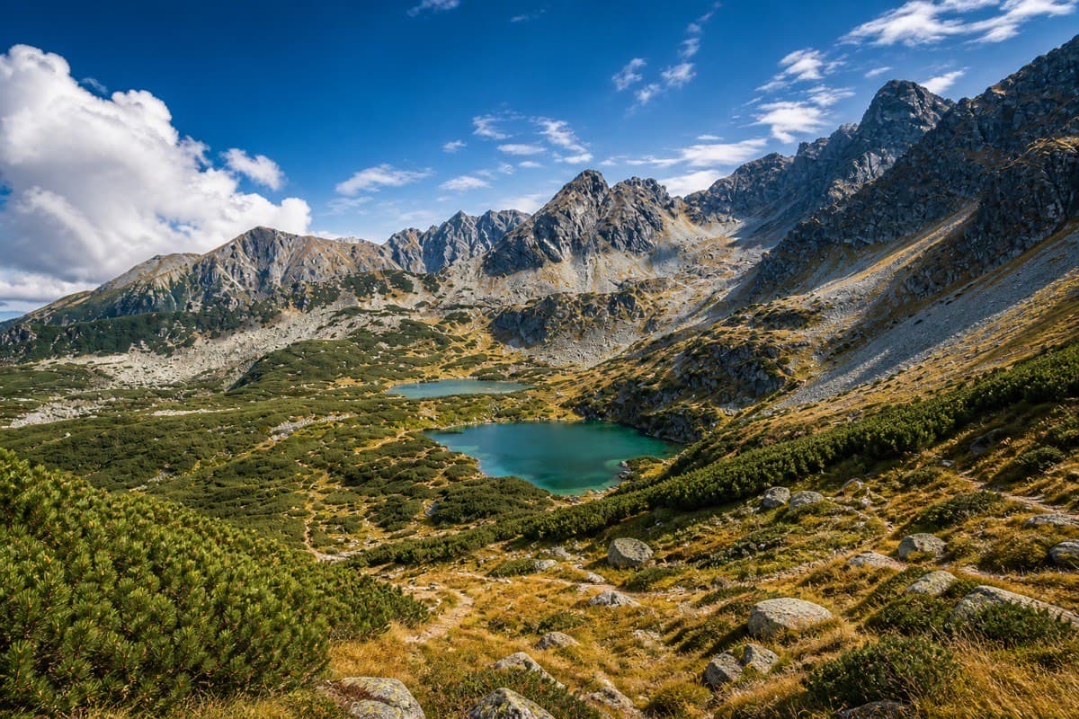 Tatrzańska dolina z górskim stawem, granitowymi szczytami i kosodrzewiną